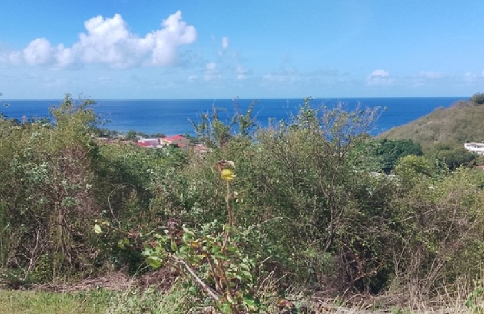 Vente Terrain 1095m&sup2; Baillif