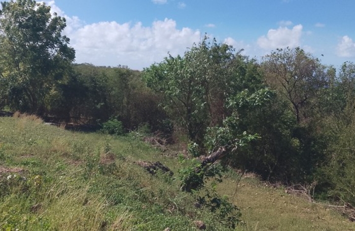 Vente Terrain 1095m&sup2; Baillif