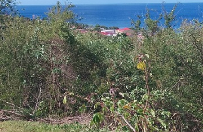 Vente Terrain 1095m&sup2; Baillif