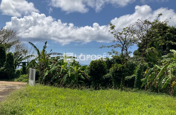 Location Maison 110m&sup2; 4 pi&egrave;ces Trois Rivi&egrave;res