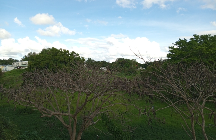 Appartement T2 (meubl&eacute;) - R&eacute;sidence Les Jardins De Providence