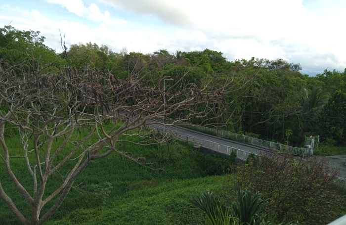 Appartement T2 (meubl&eacute;) - R&eacute;sidence Les Jardins De Providence