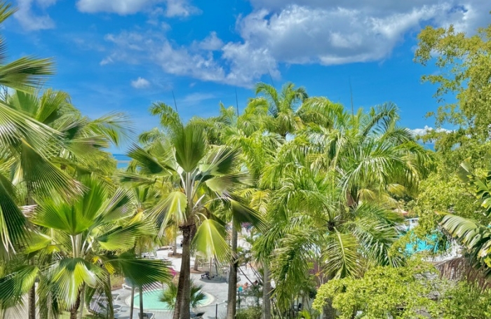 Vente Appartement 21m&sup2; 1 pièce Sainte Anne