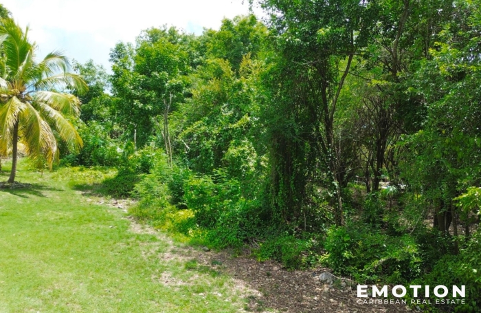 2 000 m2 de Terrain - Les ABYMES