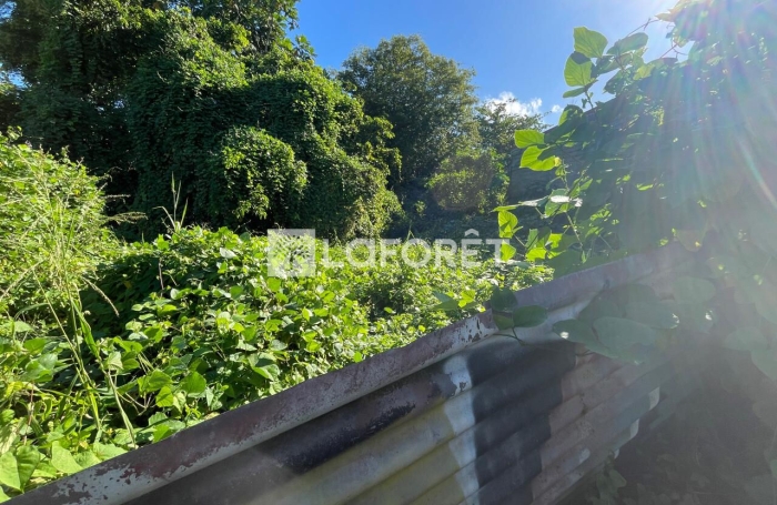 Vente Terrain 237m&sup2; Pointe-&agrave;-Pitre