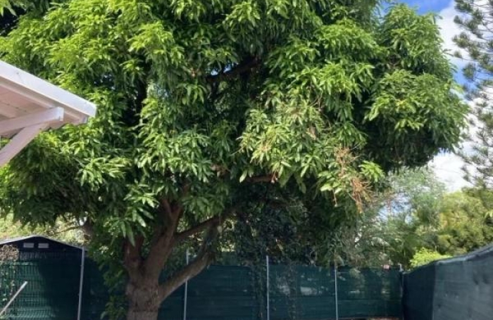 Location Maison 80m&sup2; 3 pièces Saint Fran&ccedil;ois