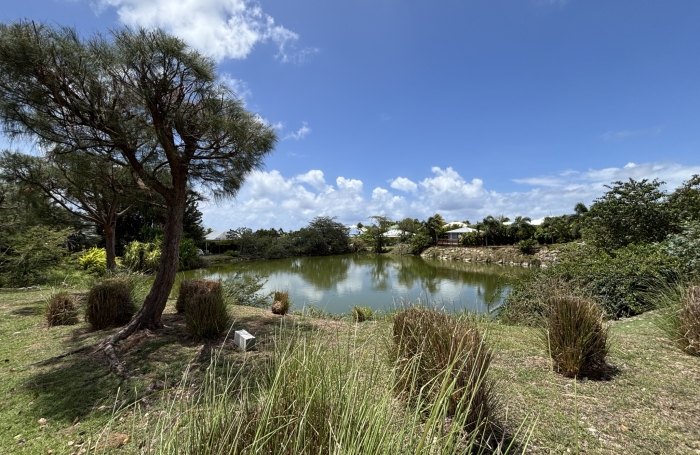 A Vendre  Appartement T3 avec piscine   Secteur recherch&eacute; de Gissac, Sainte-Anne