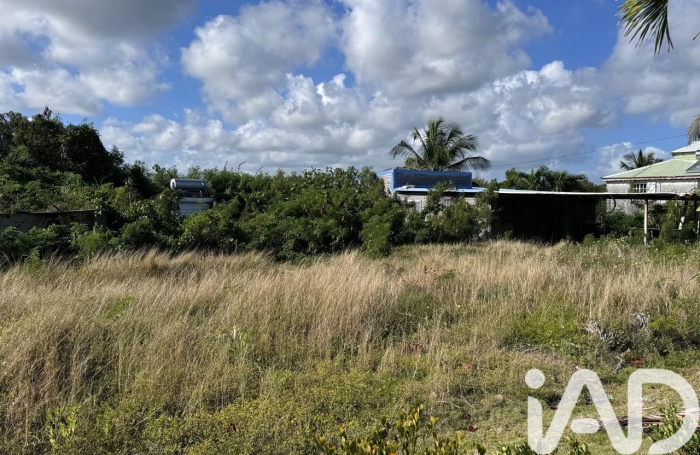 Vente Maison 97131