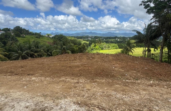Vente Terrain 1000m&sup2; Baie Mahault