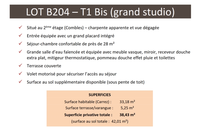 Grand studio neuf - T1 Bis - au dernier &eacute;tage, vue d&eacute;gag&eacute;e