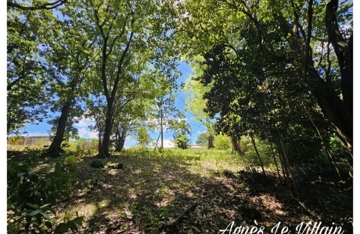 Vente Terrain 3123m&sup2; Bouillante