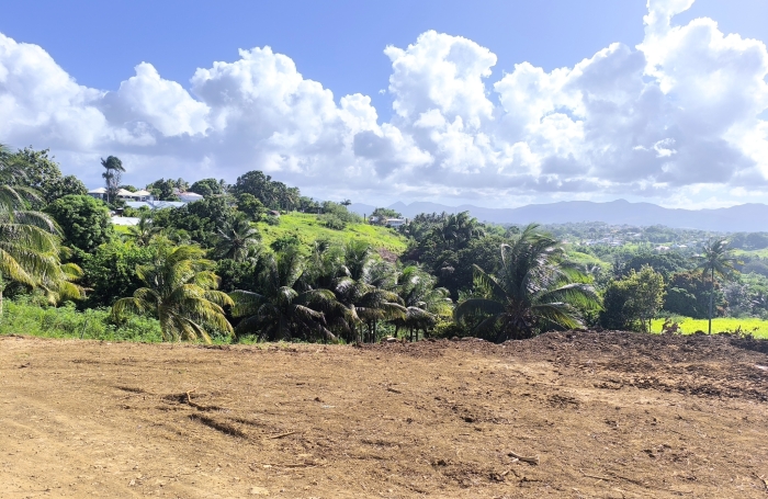 Vente Terrain 97122