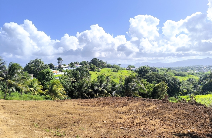 &Agrave; VENDRE - Terrain constructible de 1000 m2 avec vue montagnes   Budan, Baie-Mahault