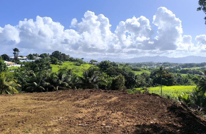 &Agrave; VENDRE - Terrain constructible de 1000 m2 avec vue montagnes   Budan, Baie-Mahault