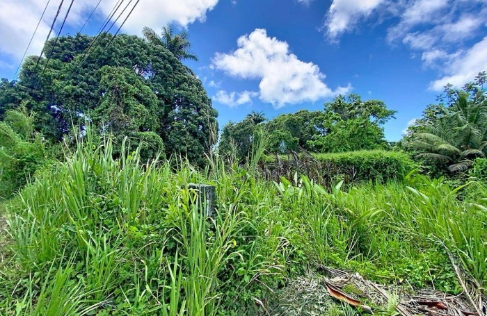 Vente Terrain 462m&sup2; Petit-Bourg