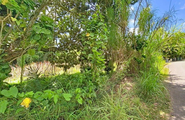 Vente Terrain 462m&sup2; Petit-Bourg