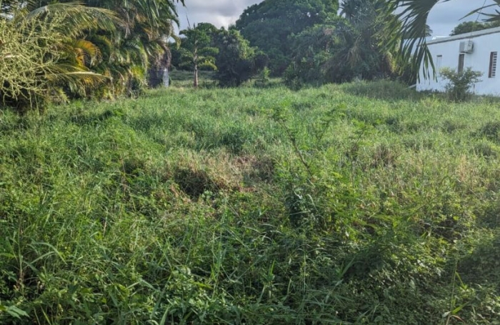 Vente Terrain 753m&sup2; Saint Fran&ccedil;ois