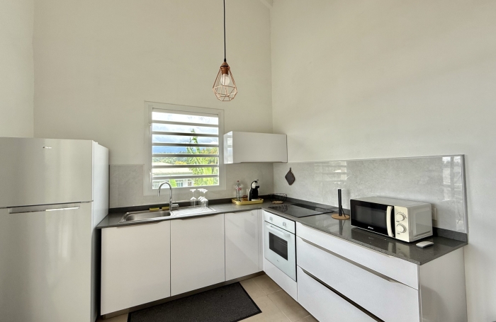 Location Appartement 97170