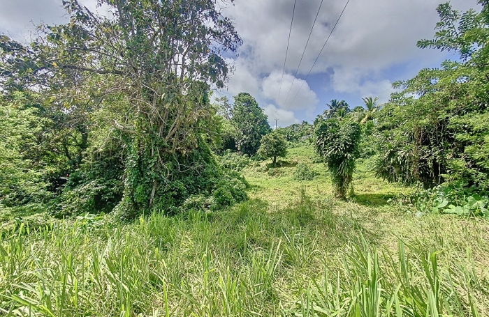 Vente Terrain 854m&sup2; Capesterre Belle Eau