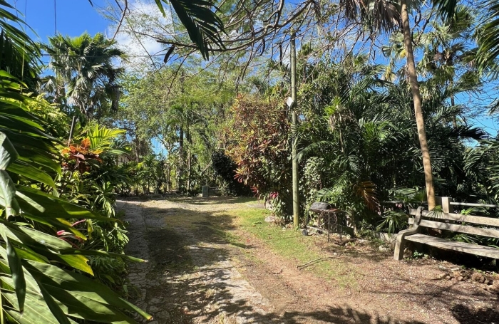 Vente Maison 194m&sup2; 9 pièces Morne &agrave; l'eau
