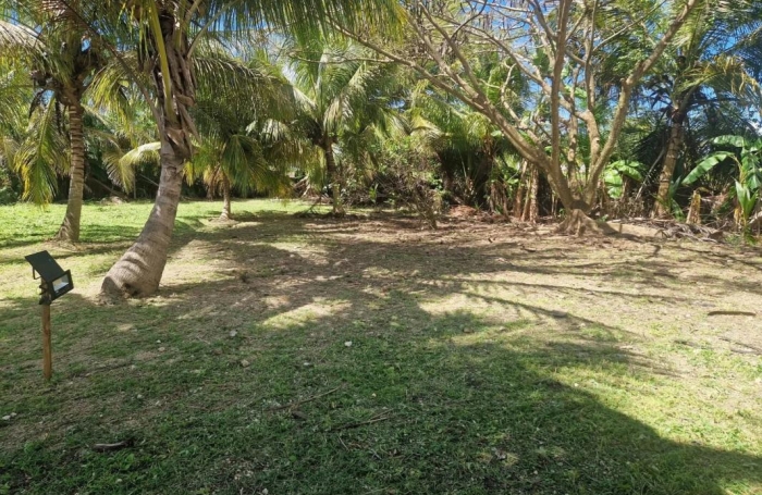 Vente Terrain 97118