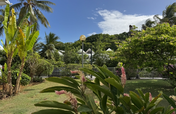 Appartement en vente avec Longfort Immobilier &agrave; Bas du Fort