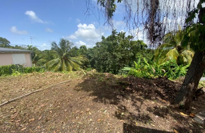 Location Maison 74m&sup2; 4 pièces Sainte Anne