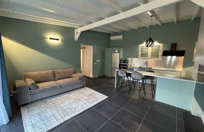 Location Appartement 97190