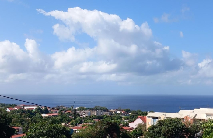 Location Appartement 97100