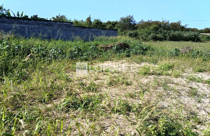 Vente Terrain 
