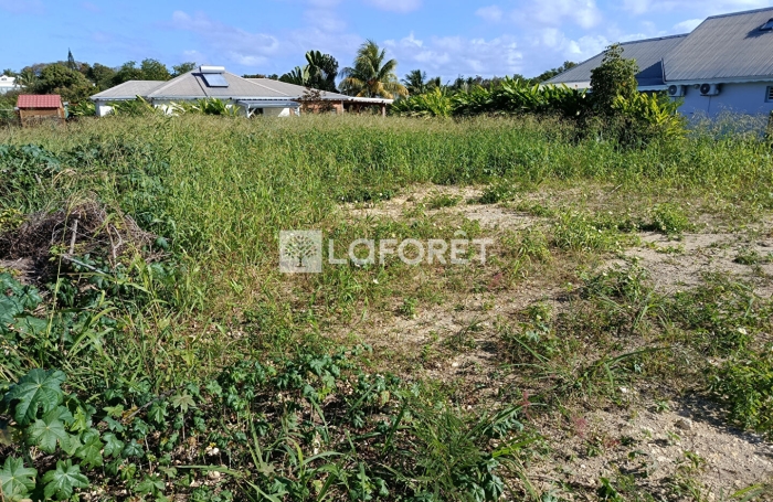 Vente Terrain 600m&sup2; Saint Fran&ccedil;ois