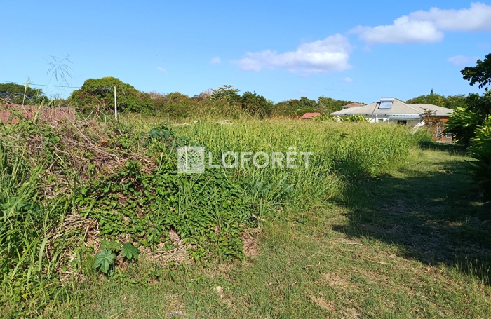 Vente Terrain 600m&sup2; Saint Fran&ccedil;ois