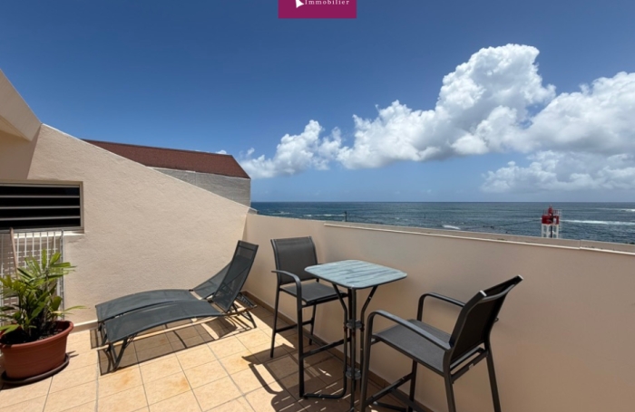 Location Appartement 97160