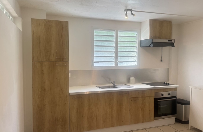 Location Appartement 97139