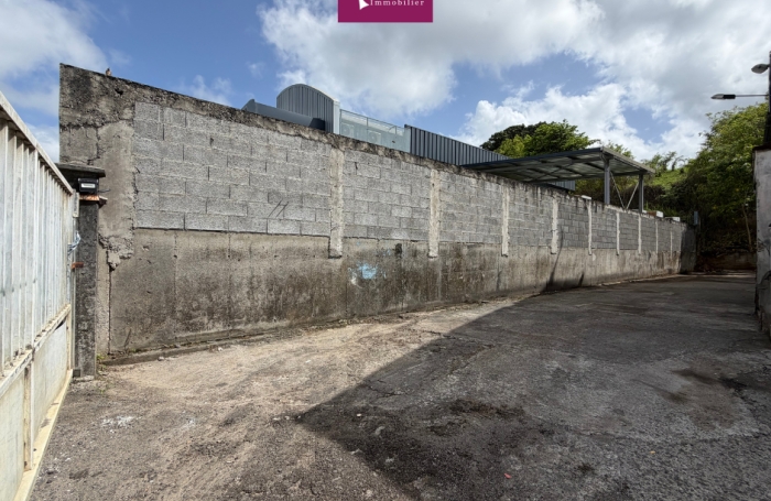 &Agrave; louer - D&eacute;p&ocirc;t de 700 m2 avec mezzanine   Petit-P&eacute;rou, Les Abymes