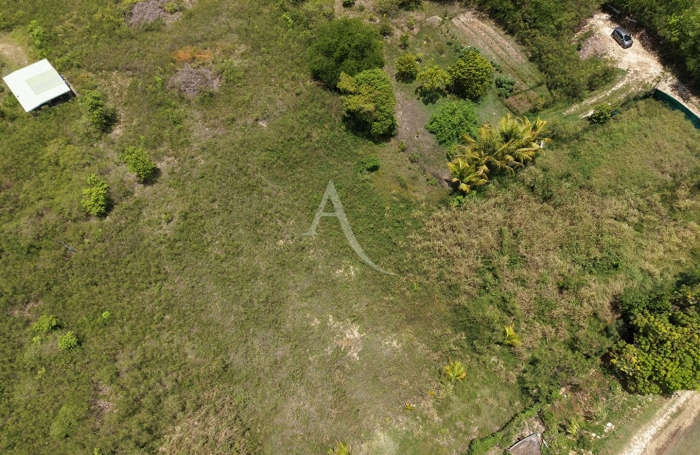 Vente Terrain 