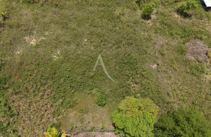Vente Terrain 1520.32m&sup2; Sainte Anne