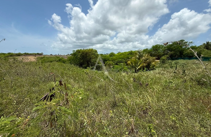 Vente Terrain 1520.32m&sup2; Sainte Anne