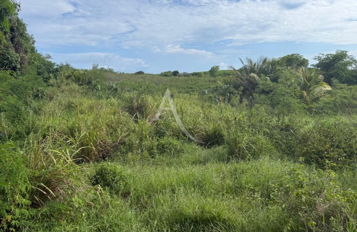 Vente Terrain 