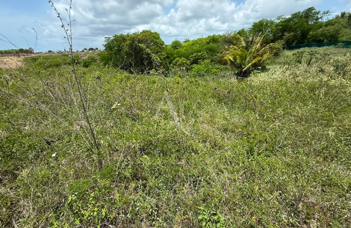 Vente Terrain 779.47m&sup2; Sainte Anne