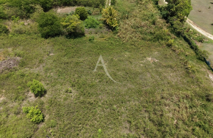 Vente Terrain 779.47m&sup2; Sainte Anne