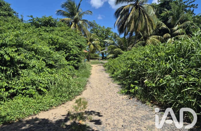 Vente Terrain 1185m&sup2; Deshaies
