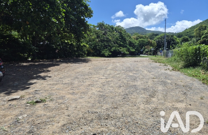 Vente Terrain 1185m&sup2; Deshaies