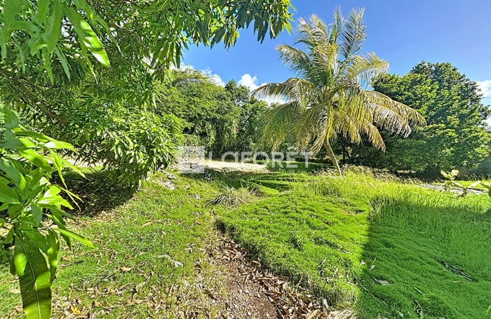Vente Terrain 430m&sup2; Sainte Anne