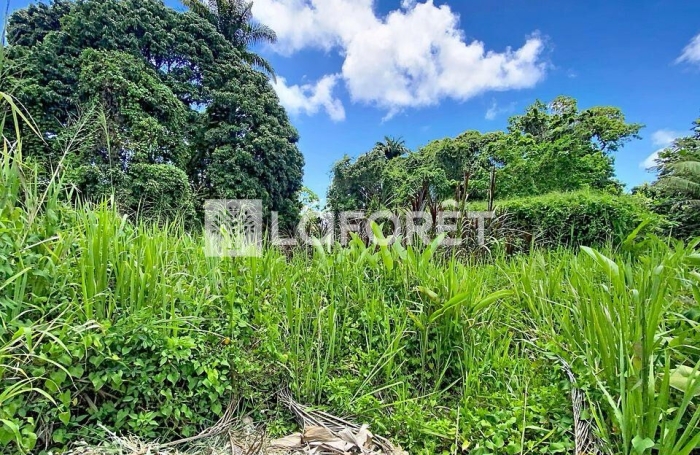 Vente Terrain 500m&sup2; Petit-Bourg