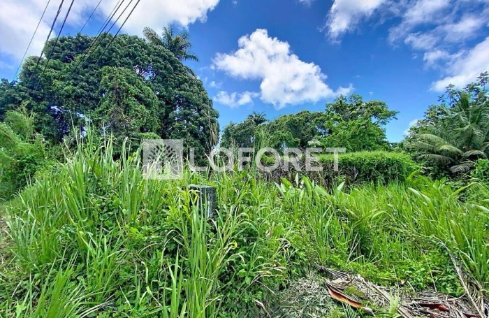 Vente Terrain 500m&sup2; Petit-Bourg