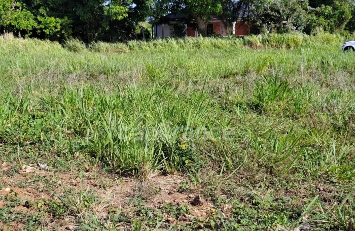 Vente Terrain 97115