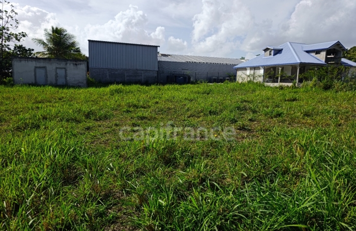 Vente Terrain 800m&sup2; Sainte Rose