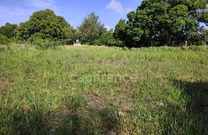 Vente Terrain 800m&sup2; Sainte Rose