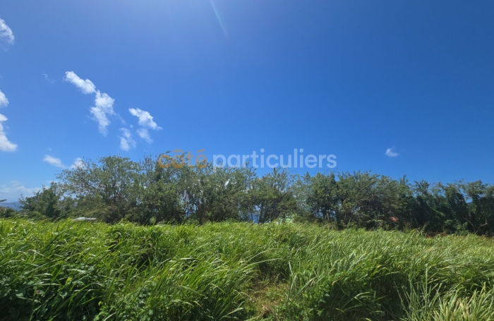 Vente Terrain 